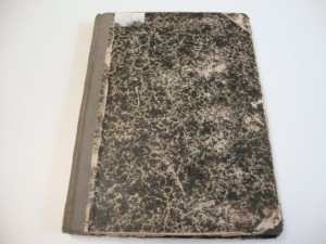 1904г. Теория развития . В. А. Фаусек.