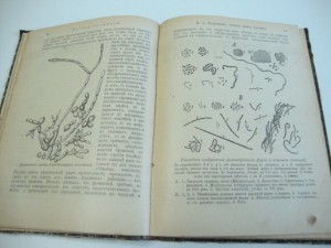 1904г. Теория развития . В. А. Фаусек.