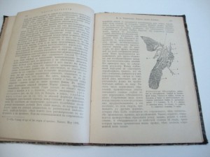 1904г. Теория развития . В. А. Фаусек.