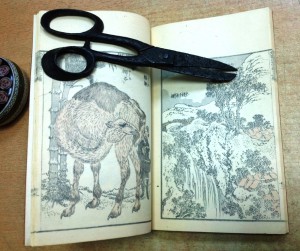 Интересная книга-японская..двойные страницы