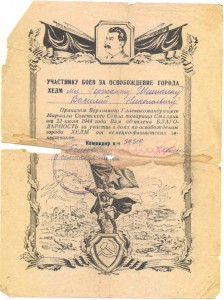 Комплект  сержанта Шишкина