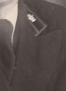 Необычная кокарда, возможно авиация