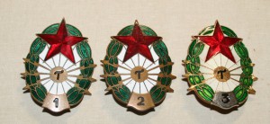 Вооруженные силы стран Варшавского договора. Венгерская народная армия. Вооруженные силы стран Варшавского договора. Венгерская народная армия. дивизии, мотострелковой, войск, армия, армии, состояла, всегда, Венгерской, войска, вооруженные, боевых, Венгрии, войсках, восстание, Варшавского, воевать, Веспреме, Армии, относились, Сухопутные