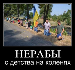 З Днем Незалежності України!!!