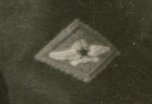 1-я школа военных пилотов, нарукавная нашивка, шифровки