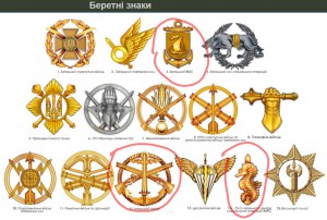 Кокарды ВМС морской пехоты последнего обраца.