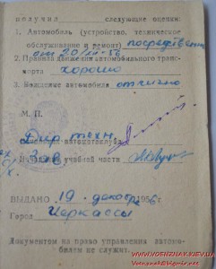 Свидетельство о прохождении курсов первичной организации