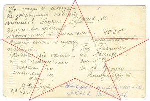 Солдаты генерала Свободы - 2 фото