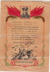 6 благодарностей + Варшава, Берлин на одного. Брест, Харьков