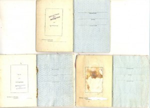 ЧИСТЫЕ орд. образца 45 (2111)