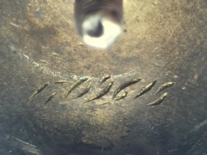 Слава 3 ст на циферблате 15.02 РЕДКАЯ и КЗ на ОДНОГО