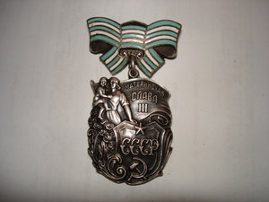 Мамка 3 ст. № 348245 (переходный тип)