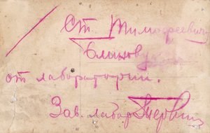 Сотрудники Военной Лаборатории. Чины, 2 БКЗ РСФСР.