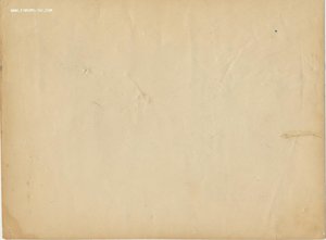 Летчики дерутся 1930-е Из архива Водопьянова М.В.