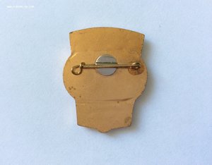 Лучший рационализатор геодезии и картографии.