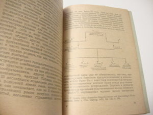 1926г. Практические выводы из учения о наследственности.