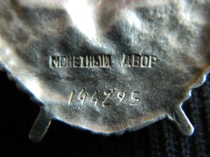 БКЗ №144295 с док