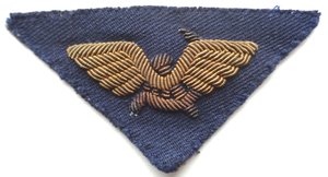 Шитый шеврон ГВФ на синем фоне.