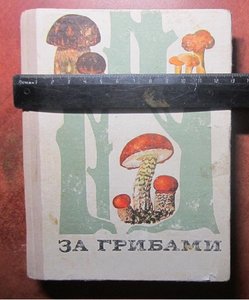 За грибами 1974 г