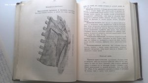 Александрова-Игнатьева. Практические основы кулинарного иску