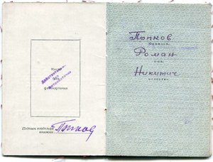 КЗ-пятка№217тыс(Морковная эмаль)+Доки