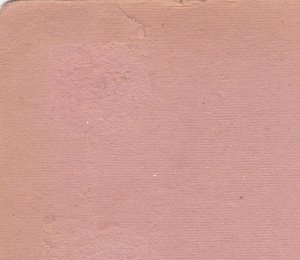 В.К.Блюхер,А.И.Егоров на совещании жён комсостава РККА. 1936