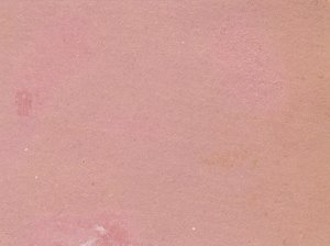 В.К.Блюхер и А.И.Егоров. Москва,1936 год.