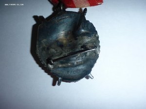 бкз ласточкин хвост БРОНЕКАТЕР