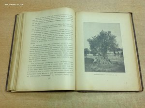Паломничество в Палестину 1904 годъ