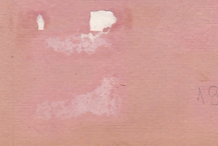 Награждённый Орденом Ленина. 1930-е годы.