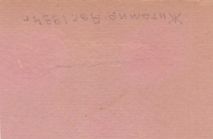 Тухачевский,Ворошилов,Егоров,Камнев и др. на Кр.площади.