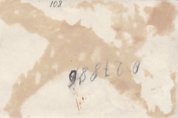 Интересное фото: белый медвежонок в подарок Сталину. 1936 г.