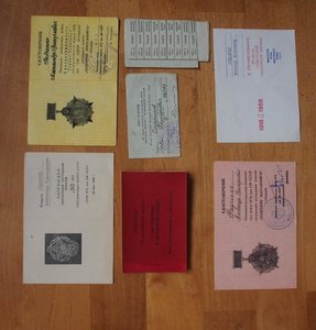 РАЗНЫЕ ДОКУМЕНТЫ в количестве