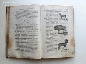 "Охотничий Календарь",первое изд. 1885 г. Л.П.Сабанеев. R!!!