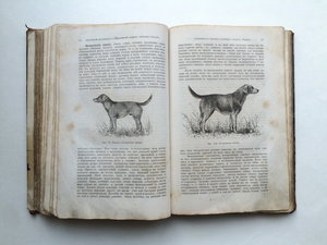 "Охотничий Календарь",первое изд. 1885 г. Л.П.Сабанеев. R!!!