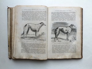 "Охотничий Календарь",первое изд. 1885 г. Л.П.Сабанеев. R!!!