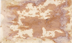 Мотопехота на трофейных грузовиках. 1943 год.