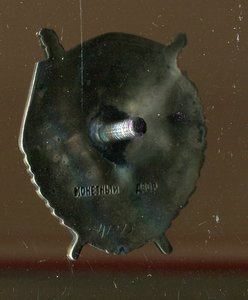 БКЗ винт 47273