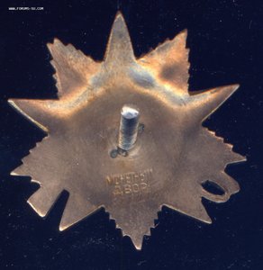 ОВ-2 "рыбий глаз" 611276