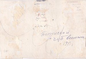 Пензенский Губвоенкомат.1918 г. Интересные нарук.нашивки.