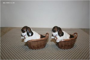 Статуэтки собачки в корзинке 2 шт. Royal Doulton Англия