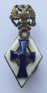 Фрачный знак Императорских Российских университетов ( 2 )