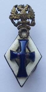 Фрачный знак Императорских Российских университетов ( 2 )