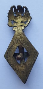 Фрачный знак Императорских Российских университетов ( 2 )