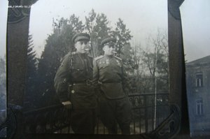 Альбом военных фотографий - 295 шт