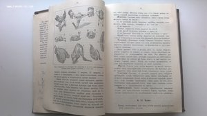 Александрова-Игнатьева. Практические основы кулинарного иску