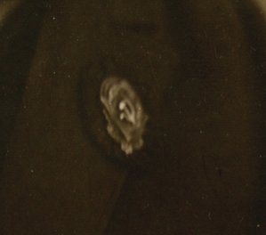 Кавалер ТКЗ "Треугольник"