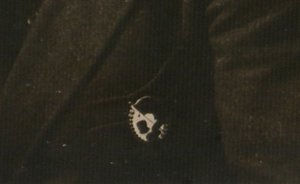 Значкисты с ударниками