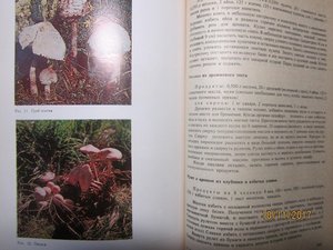 книга для каждого дня и каждого дома 1978 год