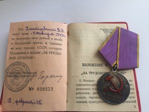 Отличие номерное с док